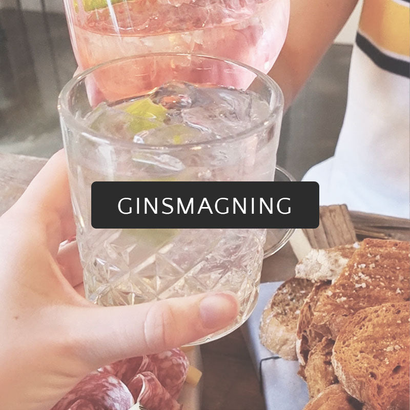 Ginsmagning med tapas